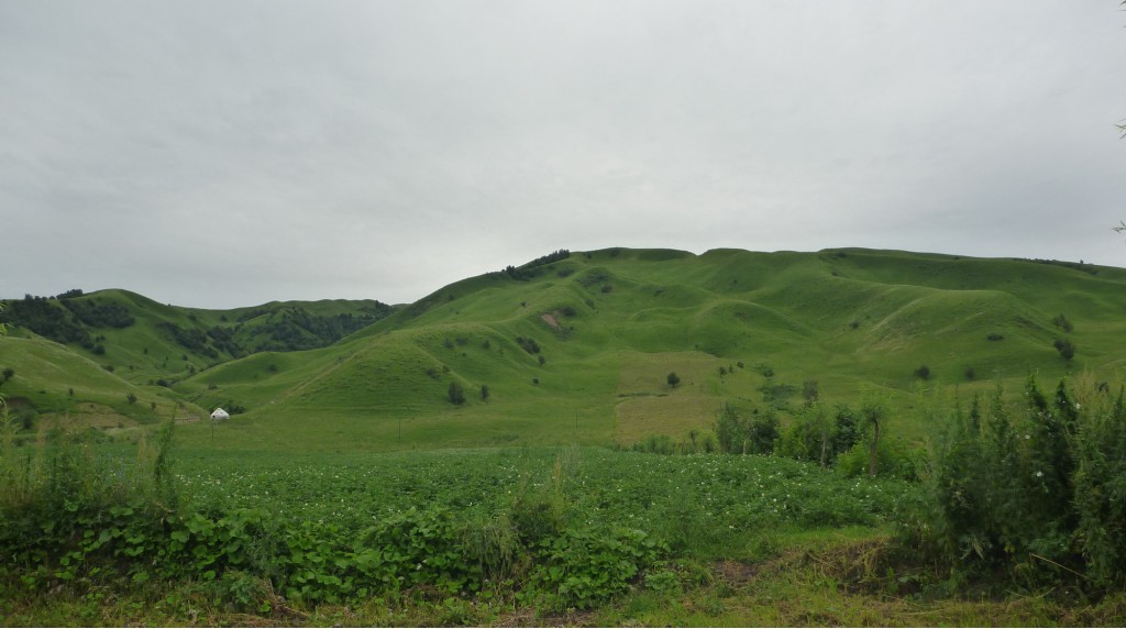 2010-09-07_215307.jpg