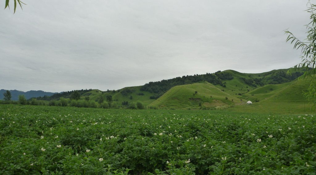 2010-09-07_215715.jpg
