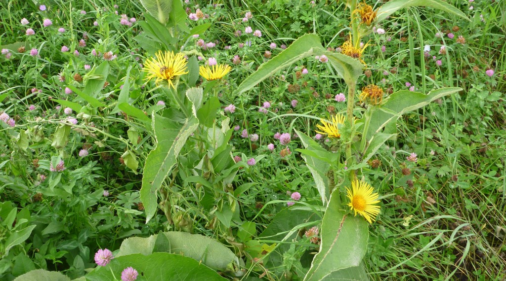 2010-09-07_220156.jpg