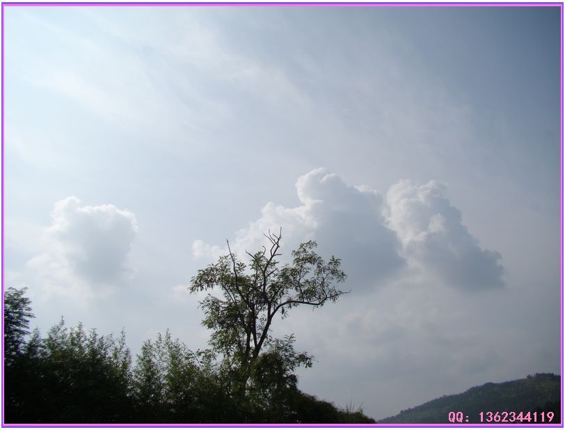 DSC00739.jpg