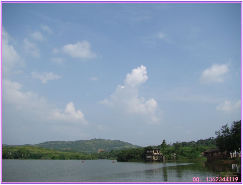 DSC00763.jpg