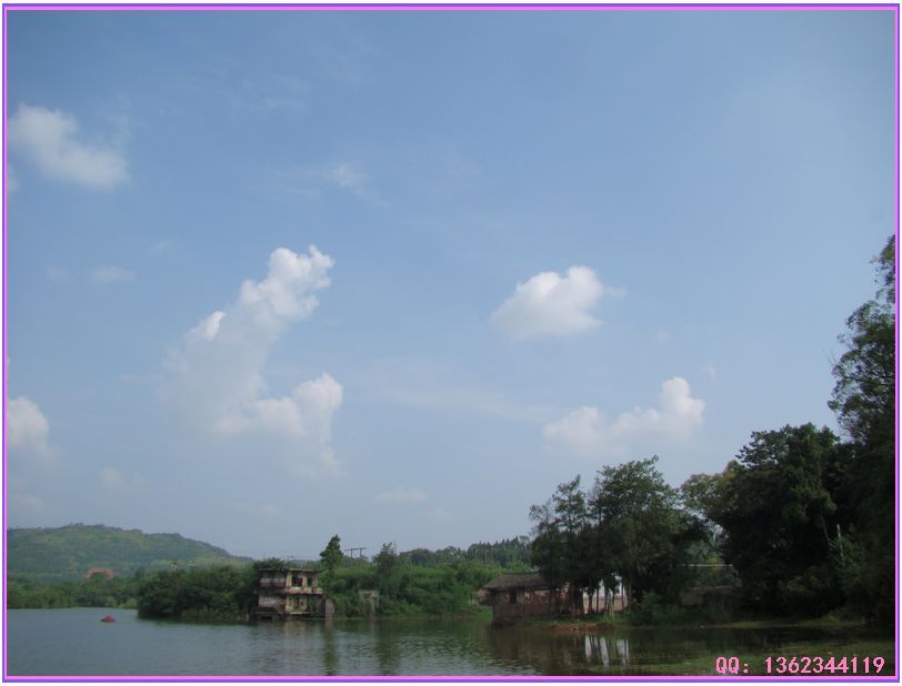DSC00768.jpg