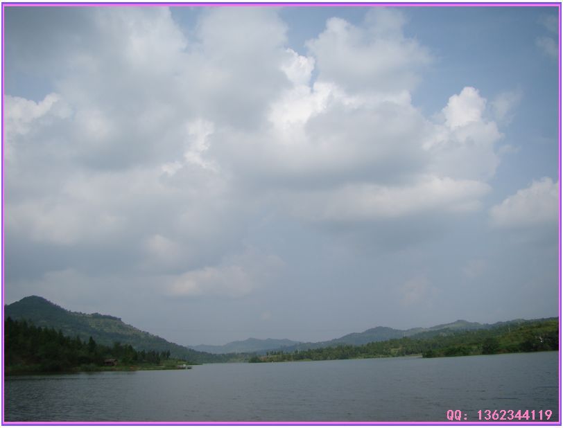 DSC00792.jpg