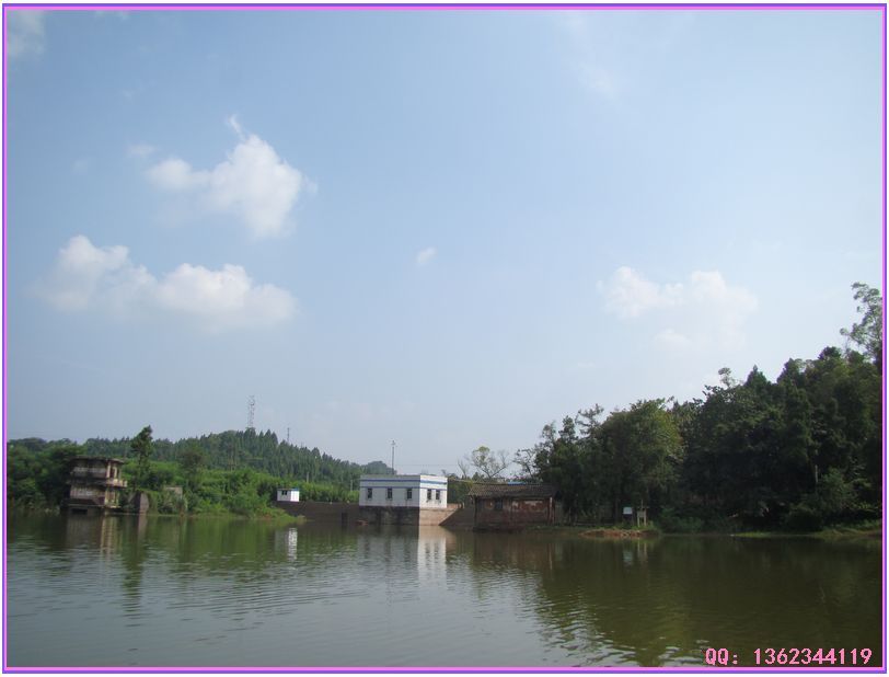 DSC00795.jpg
