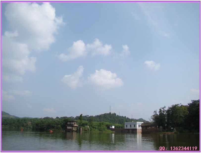 DSC00797.jpg