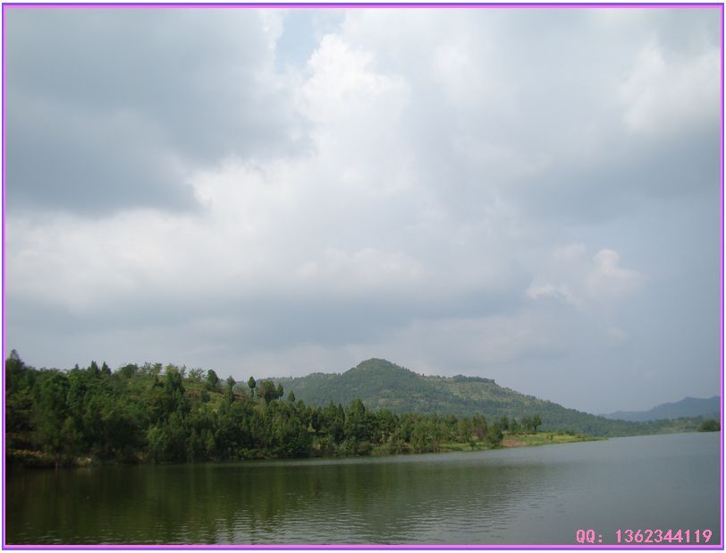DSC00803.jpg