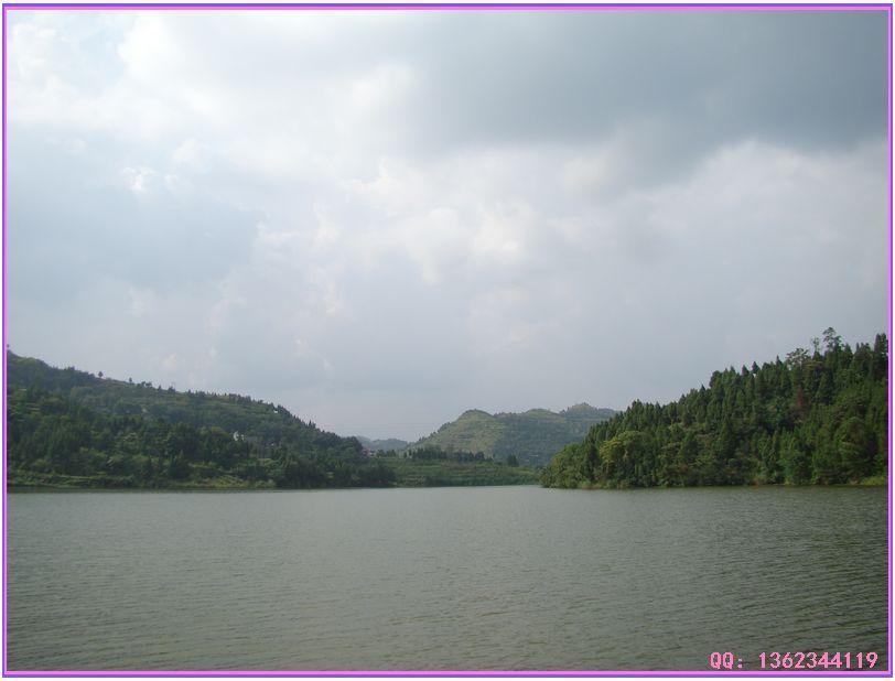 DSC00830.jpg
