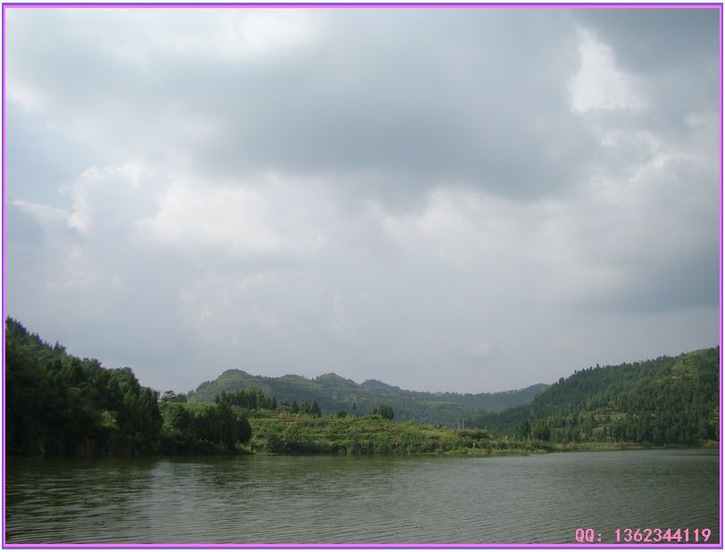 DSC00834.jpg