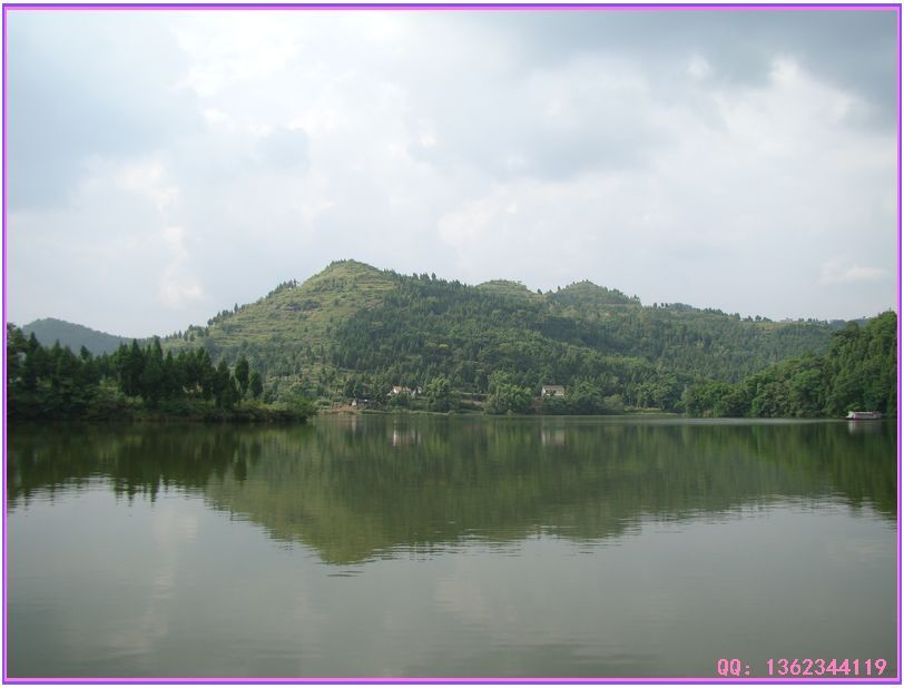 DSC00845.jpg