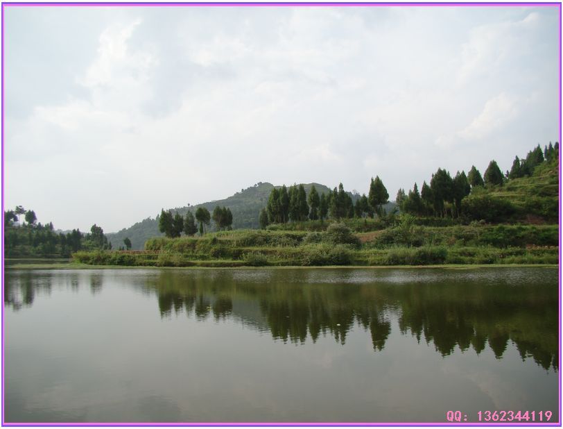 DSC00870.jpg