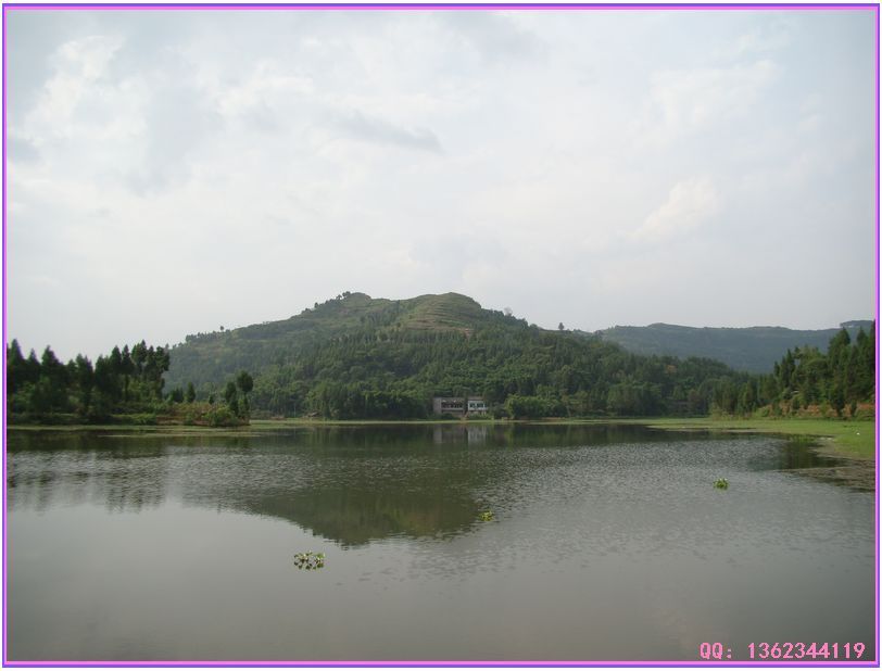 DSC00872.jpg