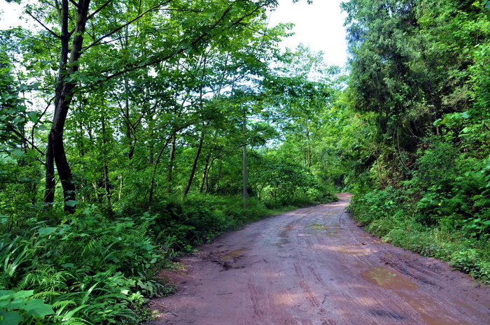 DSC_0047_С.jpg