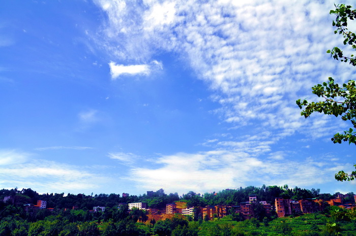 DSC_0078_С.jpg