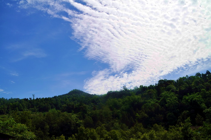 DSC_0095_С.jpg