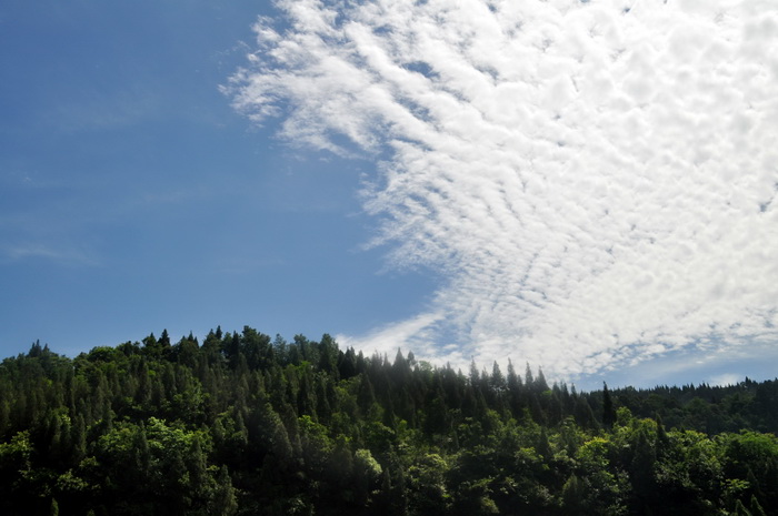 DSC_0100_С.jpg