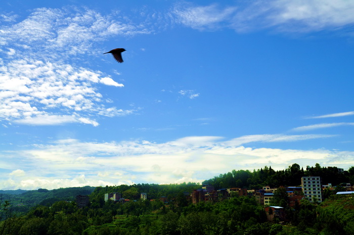 DSC_0119_С.jpg