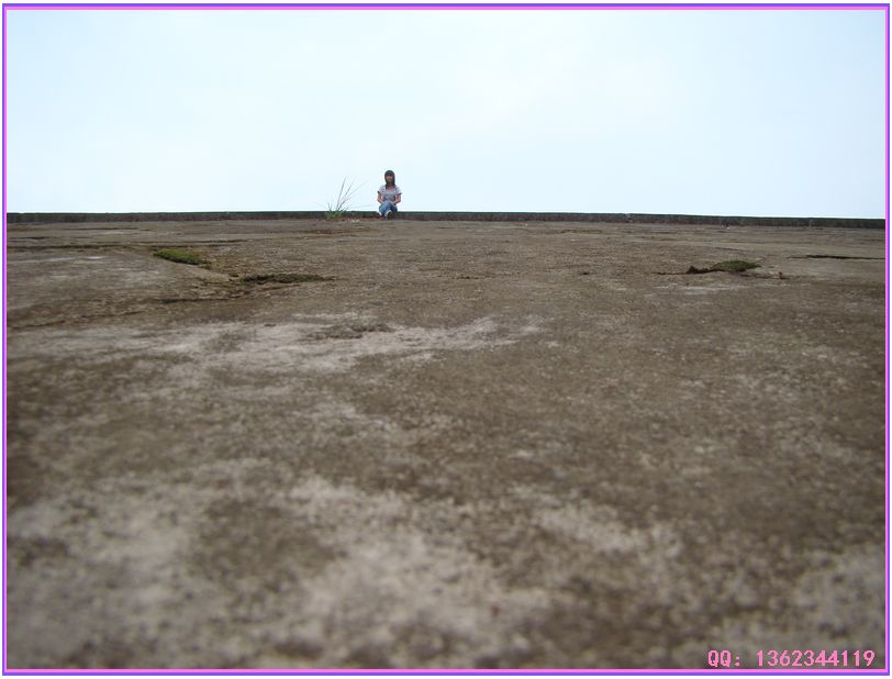 DSC00982.jpg