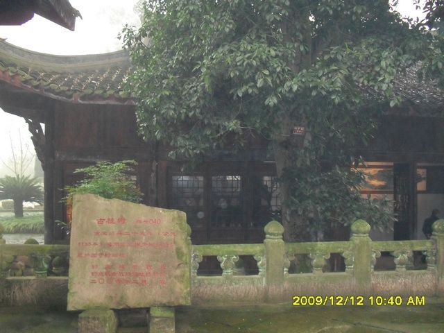 SDC12088.JPG