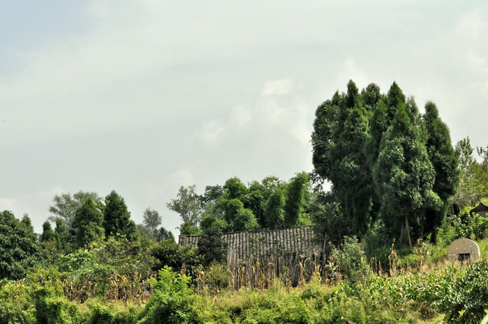 DSC_0070_С.jpg