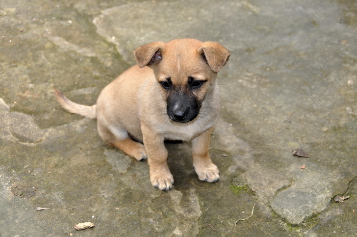 DSC_0275_С.jpg