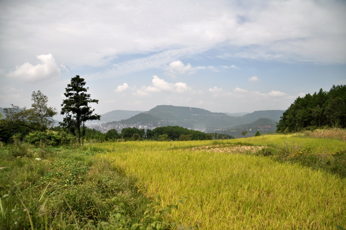 DSC_0214_С.jpg