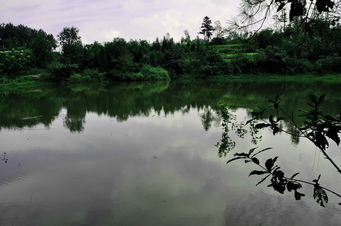 DSC_0078_С.jpg