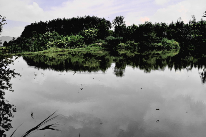 DSC_0077_С.jpg