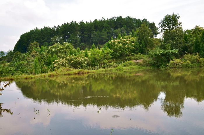 DSC_0076_С.jpg