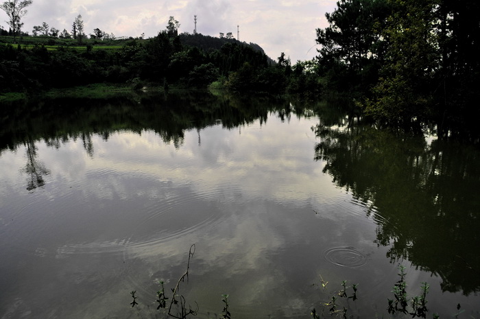DSC_0080_С.jpg