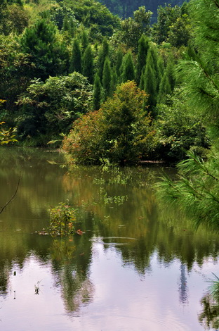 DSC_0086_С.jpg