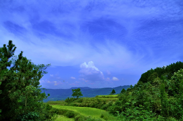 DSC_0209_С.jpg