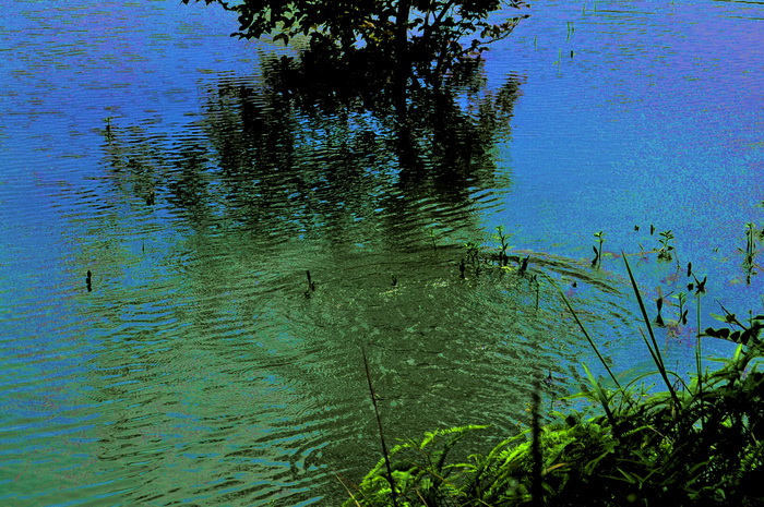 DSC_0099_С.jpg