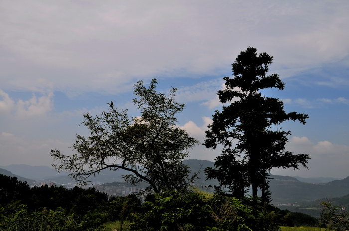 DSC_0218_С.jpg