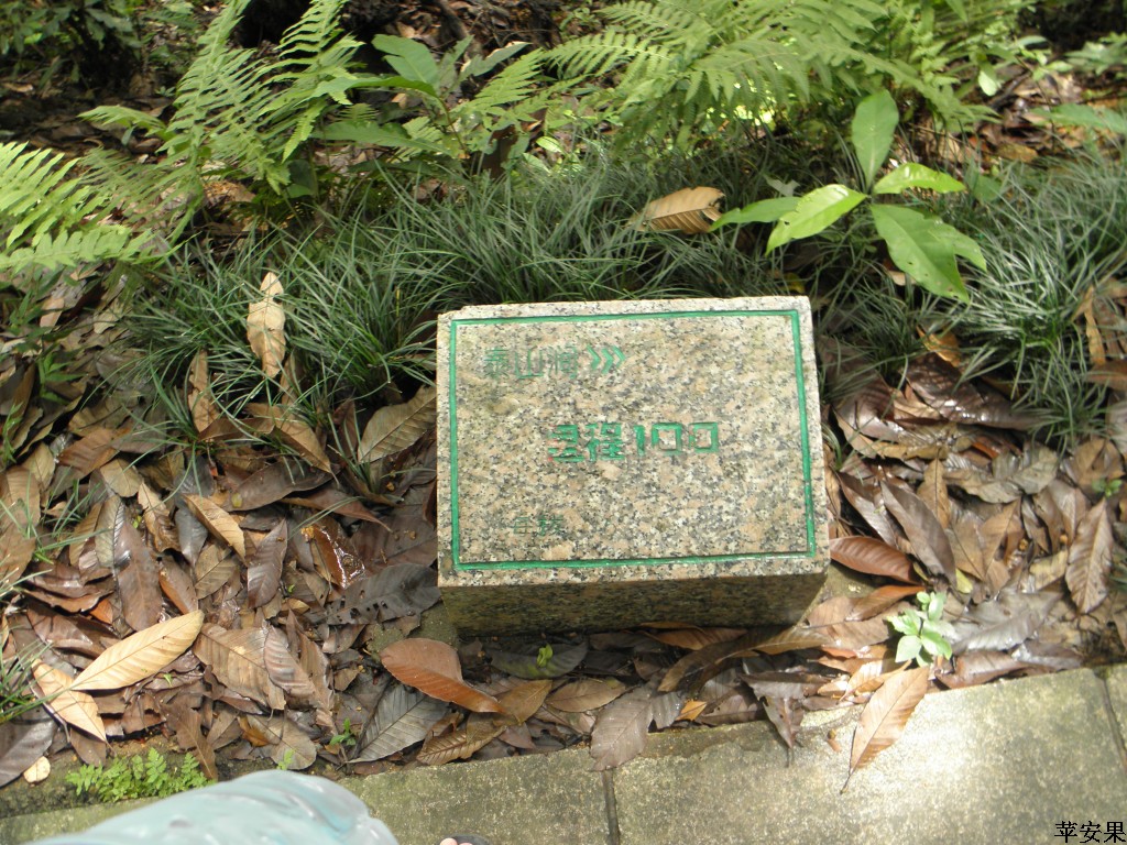 P9122160.jpg