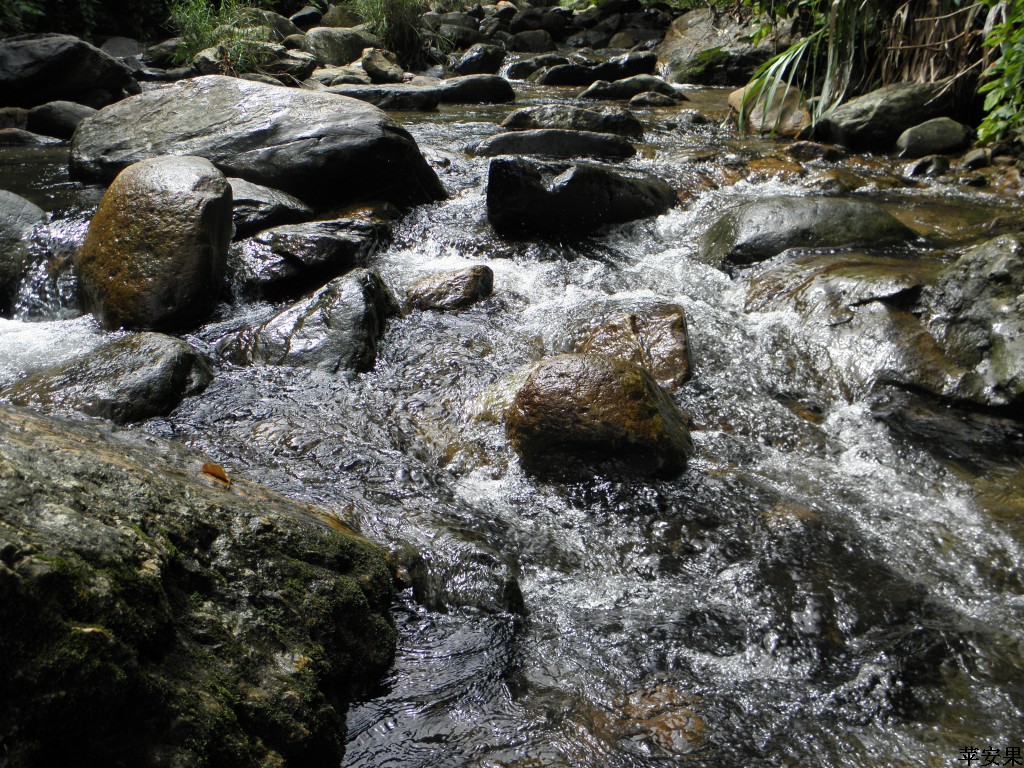 P9122187.jpg