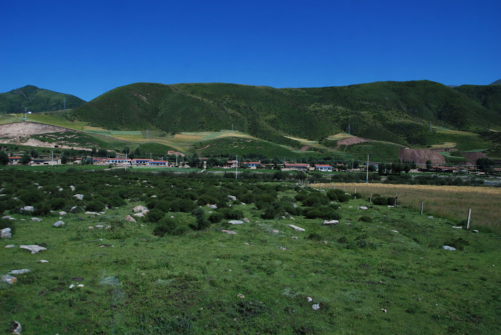DSC_0167.JPG