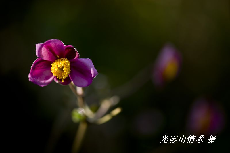 nEO_IMG_Ϫ072.jpg