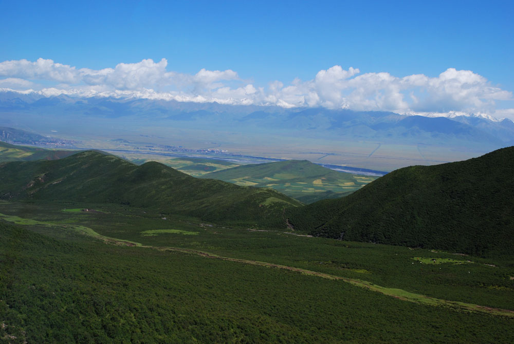 DSC_0196.JPG