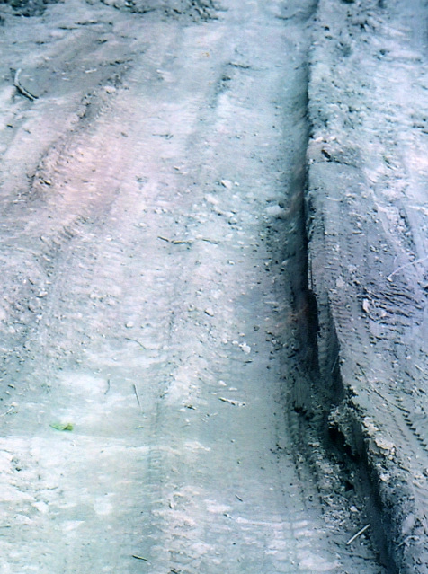 544.jpg