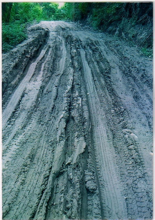 356.jpg