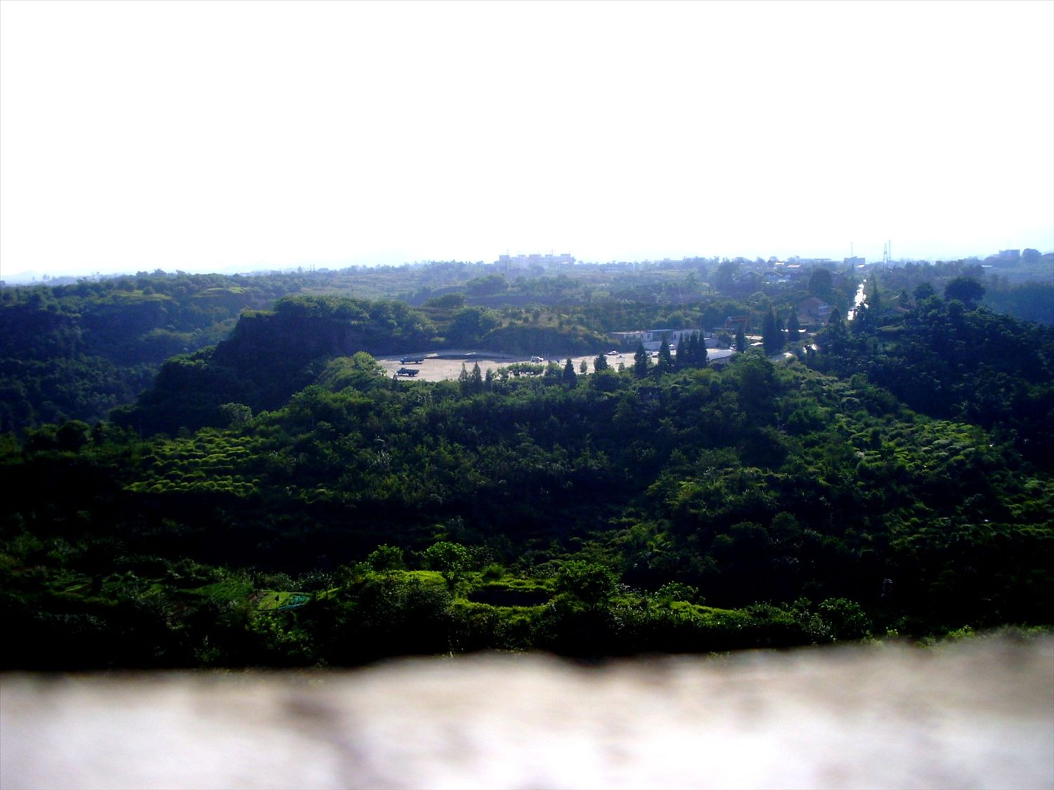 P9160064_.jpg