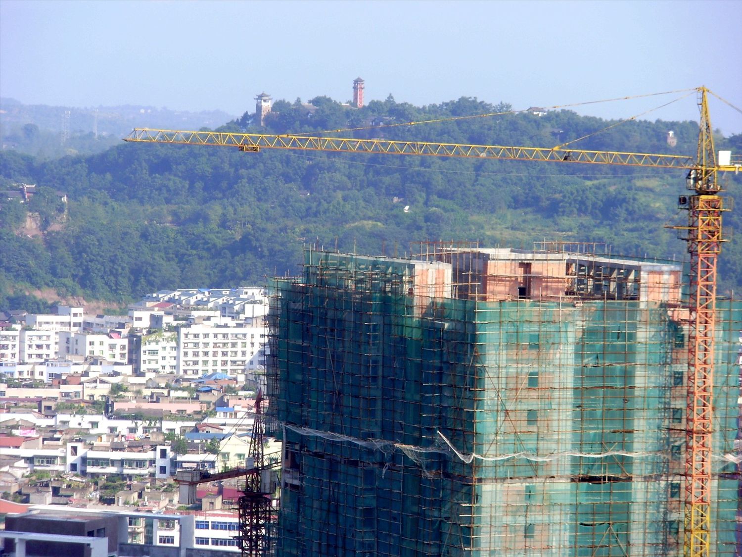 P9160071_.jpg