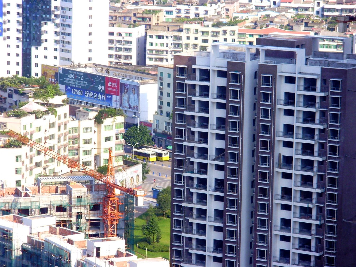 P9160085_.jpg