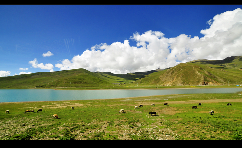 _DSC0880.jpg