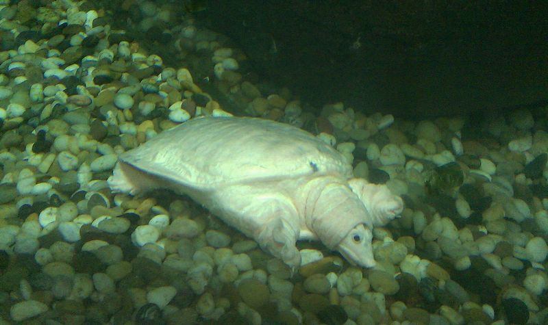 nEO_IMG_IMAG0055.jpg