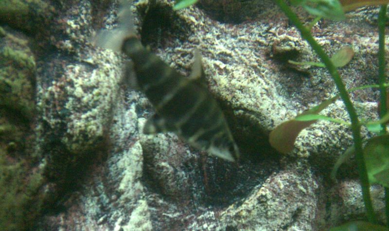 nEO_IMG_IMAG0080.jpg