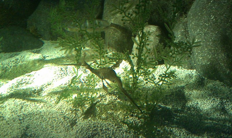 nEO_IMG_IMAG0134.jpg