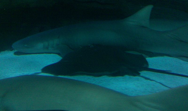 nEO_IMG_IMAG0174.jpg
