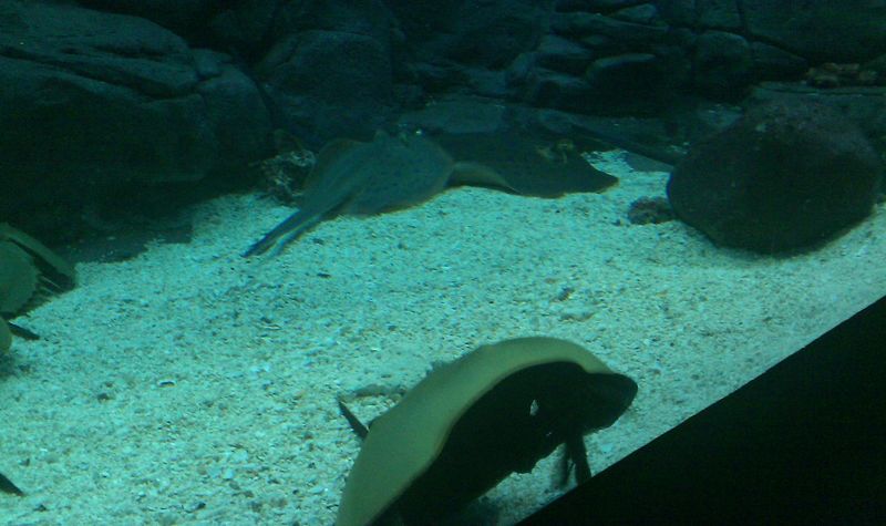 nEO_IMG_IMAG0130.jpg