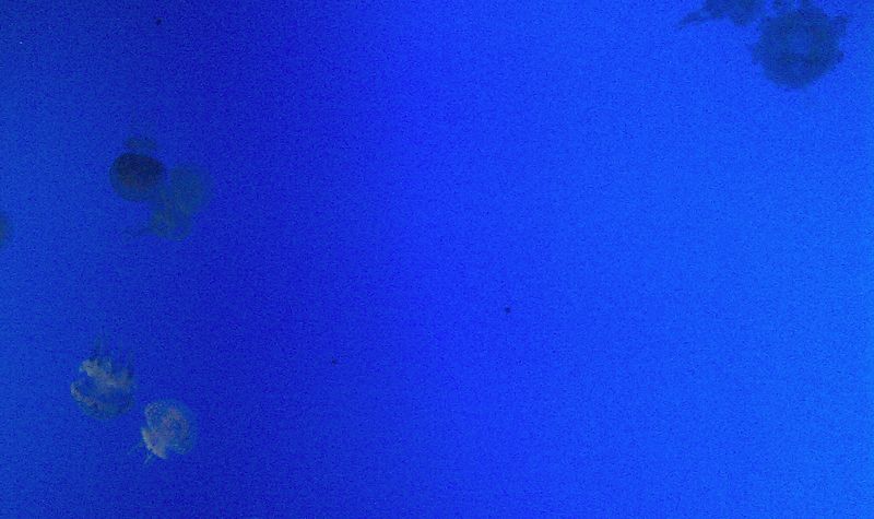 nEO_IMG_IMAG0150.jpg